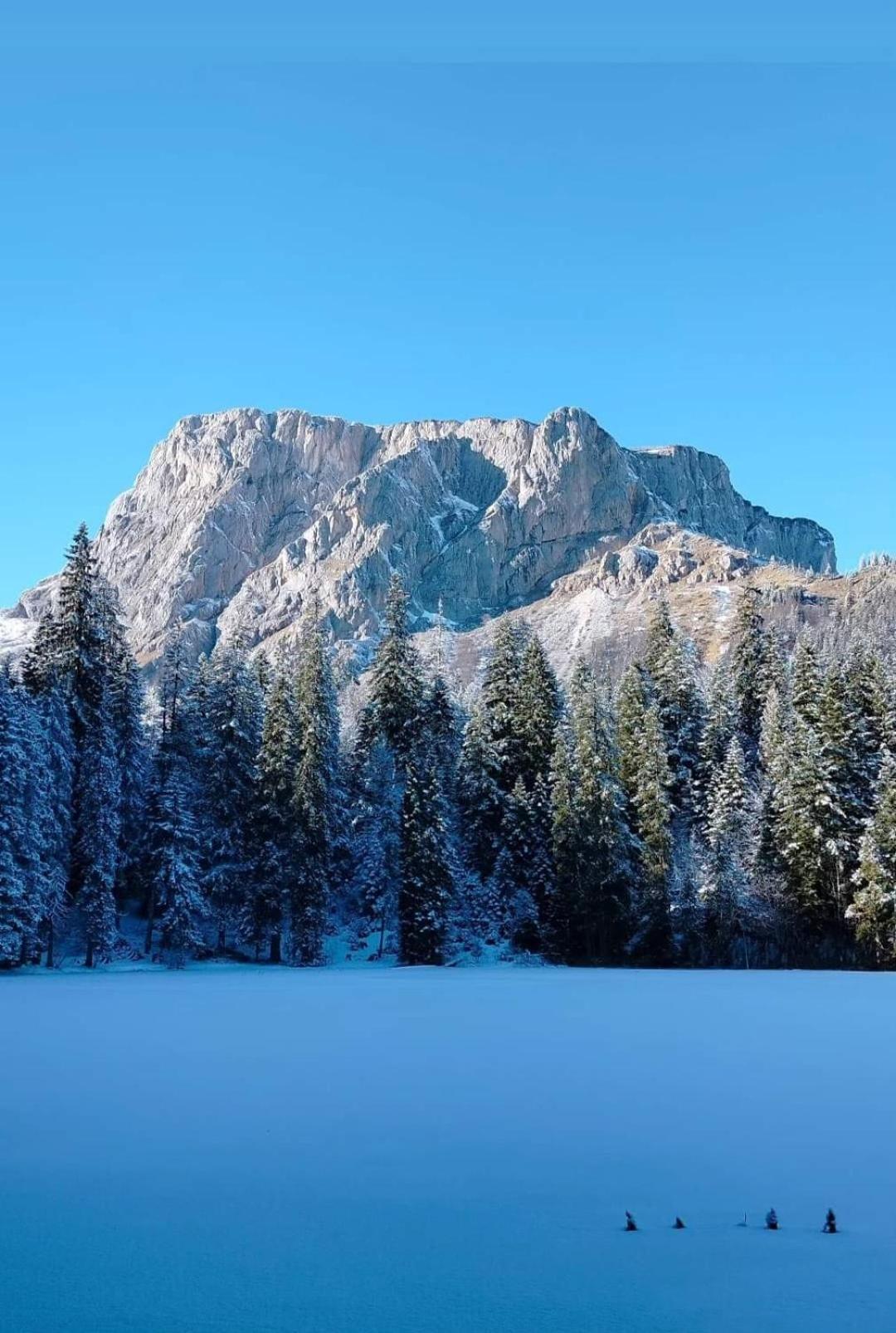 Apartman A&J Zabljak  Luaran gambar
