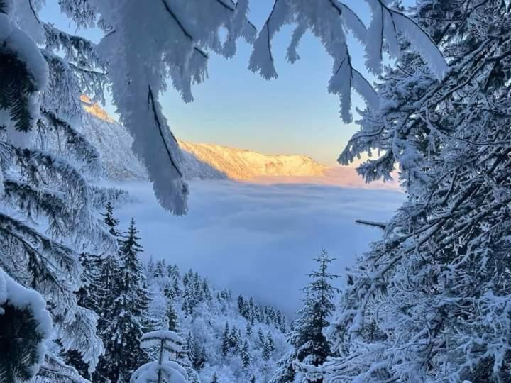 Apartman A&J Zabljak  Luaran gambar