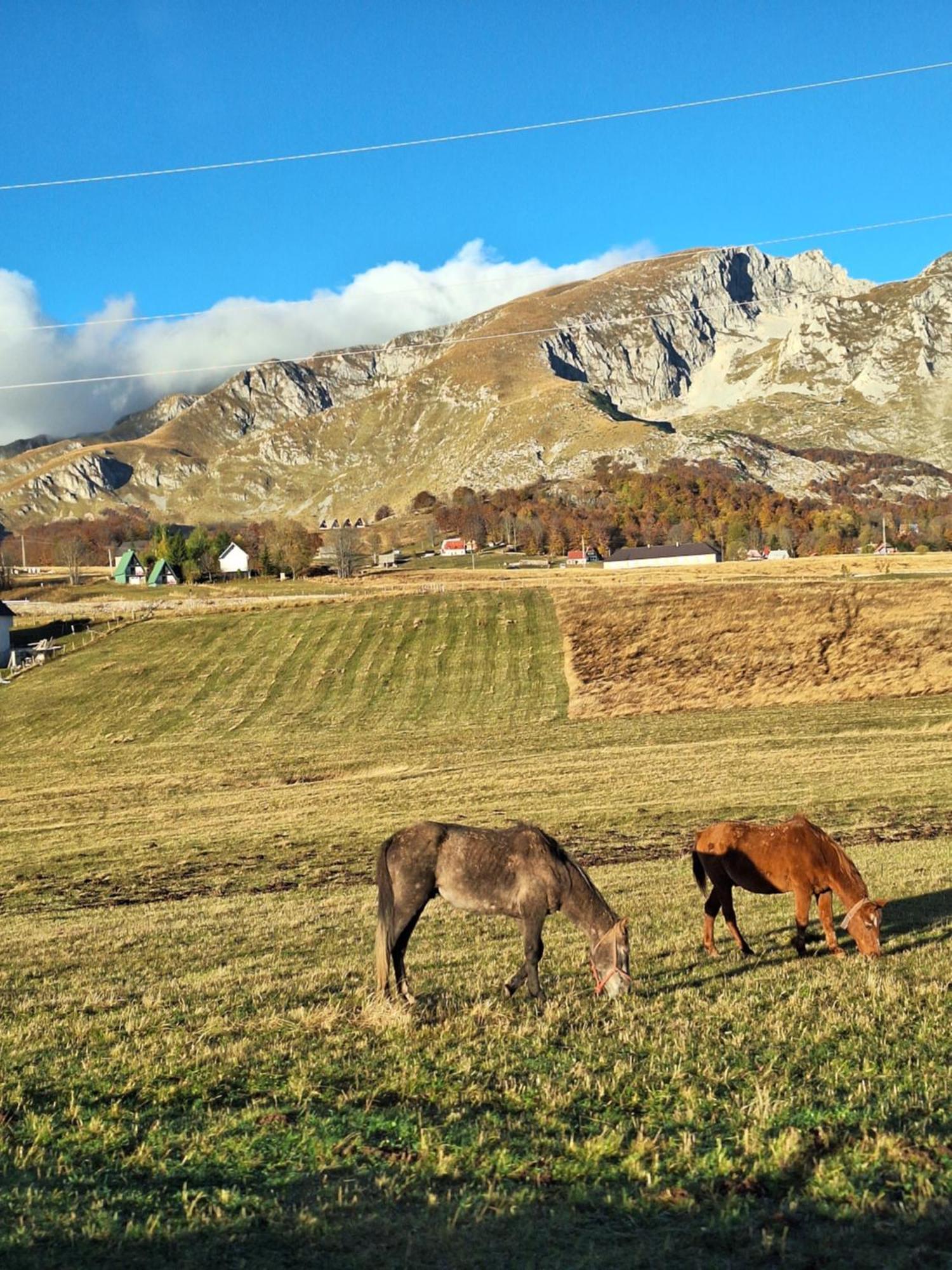 Apartman A&J Zabljak  Luaran gambar