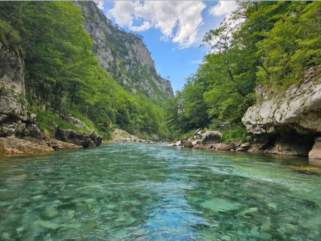 Apartman A&J Zabljak  Luaran gambar